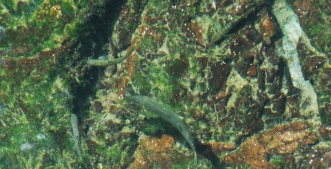 DSC00625