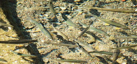 DSC05789