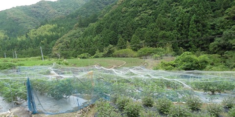DSC03877