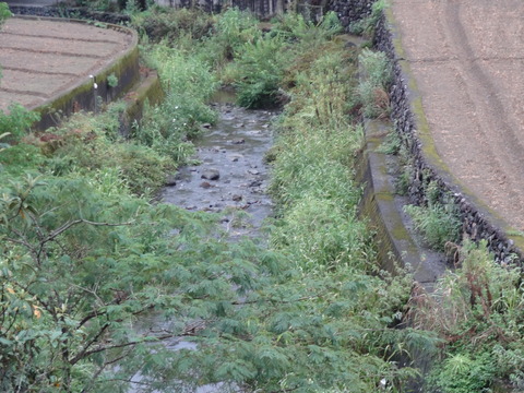 DSC01407