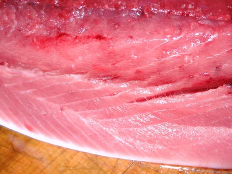 DSC01253