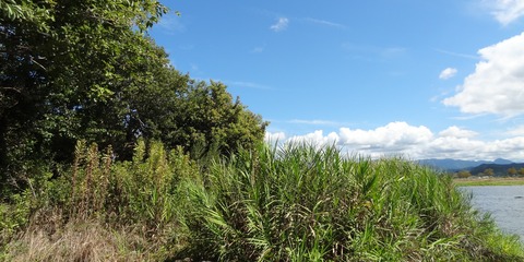 DSC01234