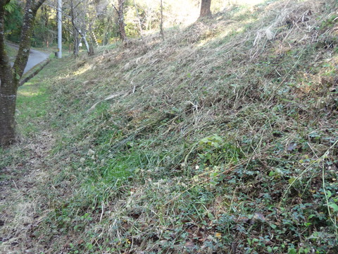 DSC00964