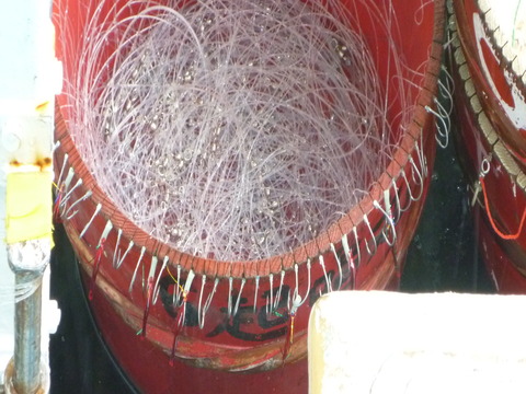 P1150201