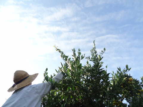DSC08233