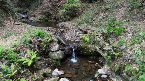 DSC07366