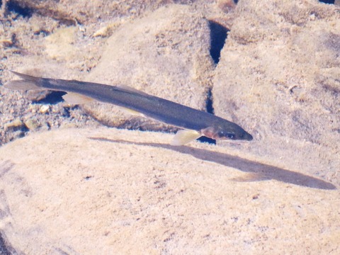 DSC05770