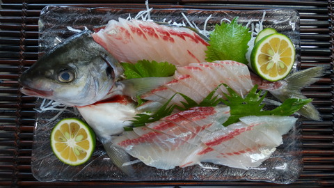 シマアジ刺身