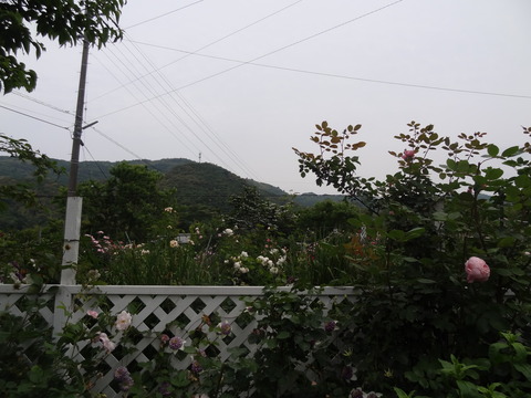 DSC03380