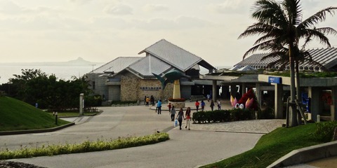 美ら海水族館