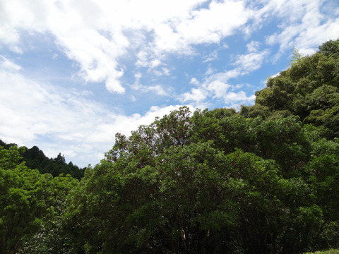 DSC03832