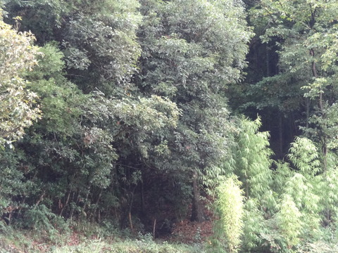 DSC01406