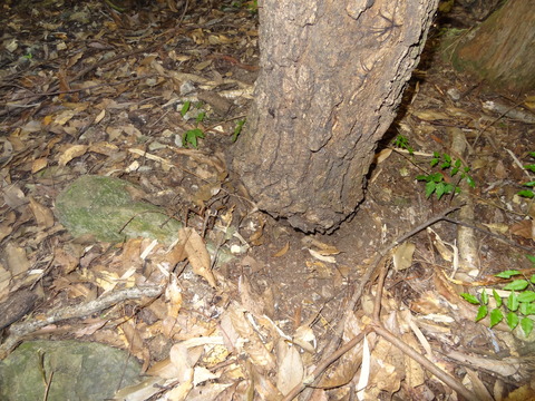DSC04820