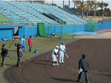 b81a220e.jpg