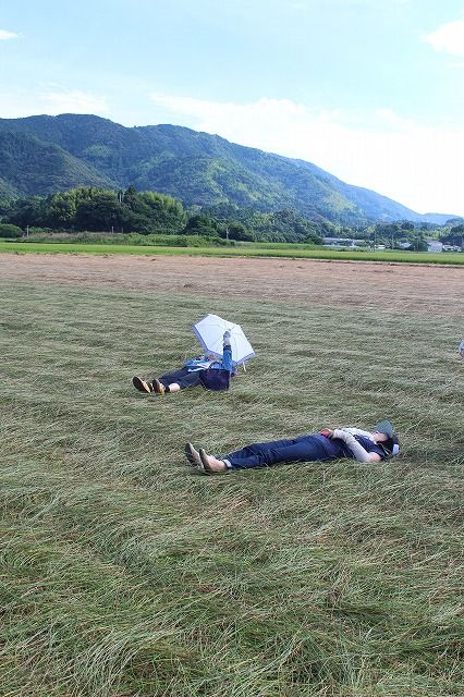 土佐い草圃場見学 (25)