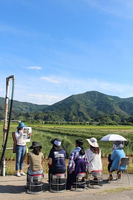 土佐い草圃場見学 (5)