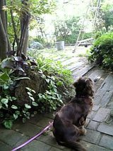 ����