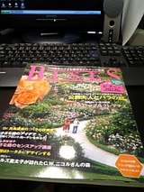 �ӥ�
