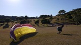 987ed225.jpg