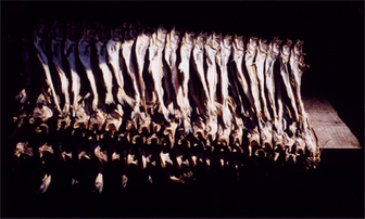 1999-pusan-4