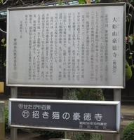 IMG_0034_512