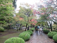 IMG_0005_512
