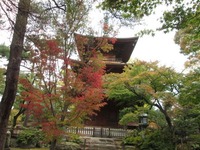 IMG_0011_512