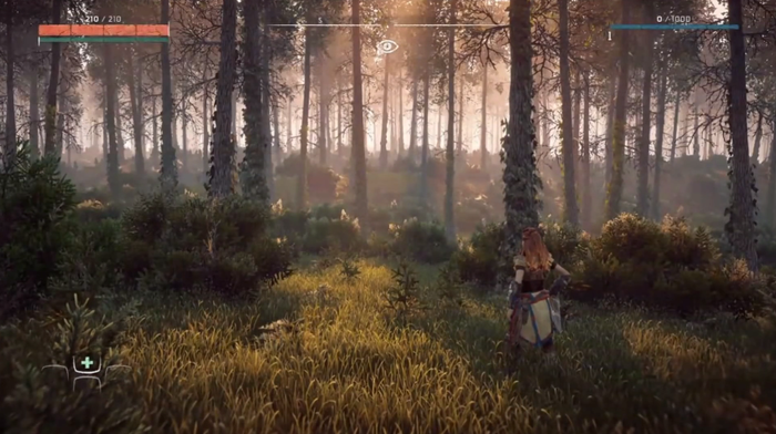 Horizon Zero Dawn (2)