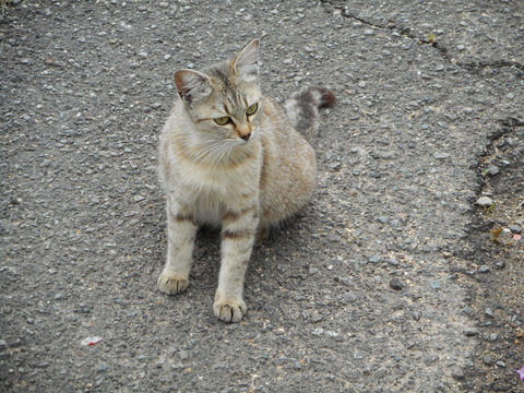 DSCN0457