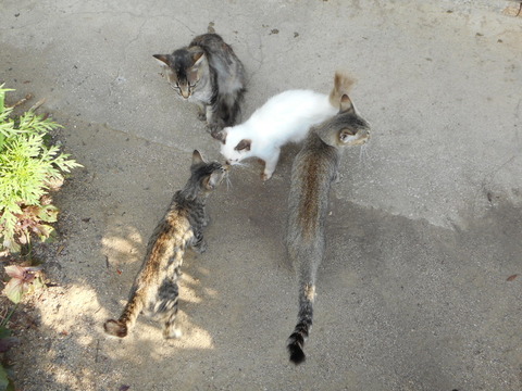 DSCN1463