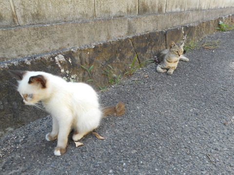 DSCN1342