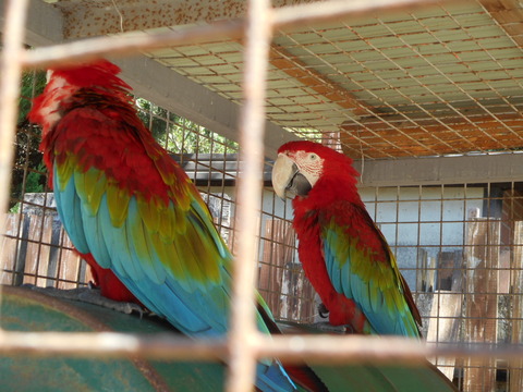 DSCN2407