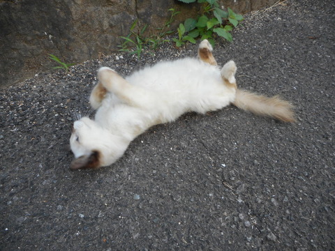 DSCN1469