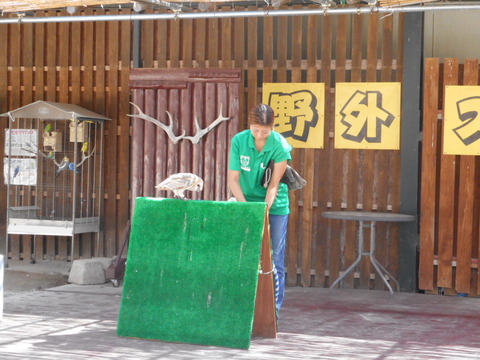 DSCN2478