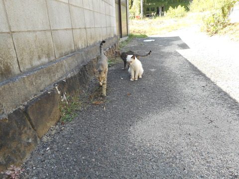 DSCN1340