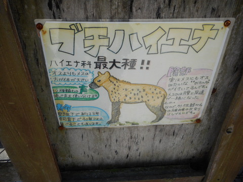 DSCN2394