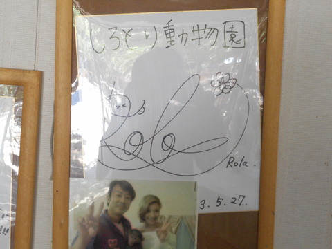 DSCN2385