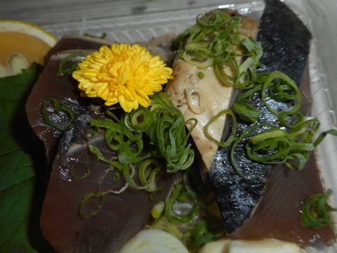 DSCN2582