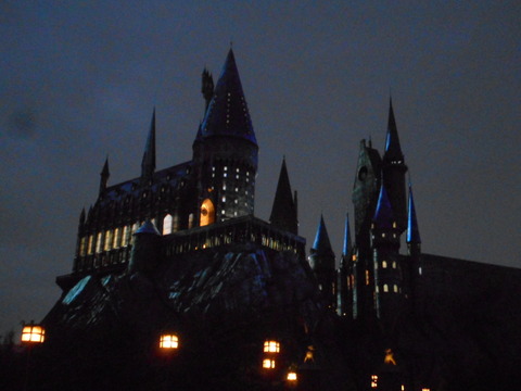 DSCN2640