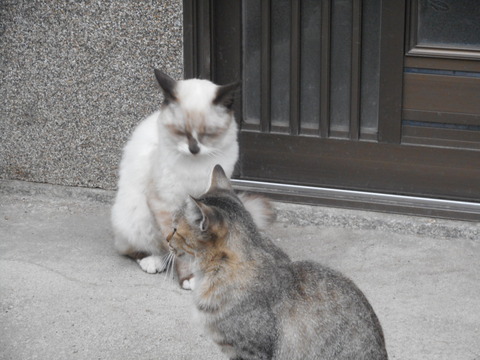 DSCN2508