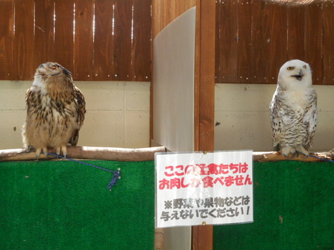 DSCN2368