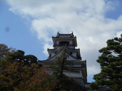 DSCN2578