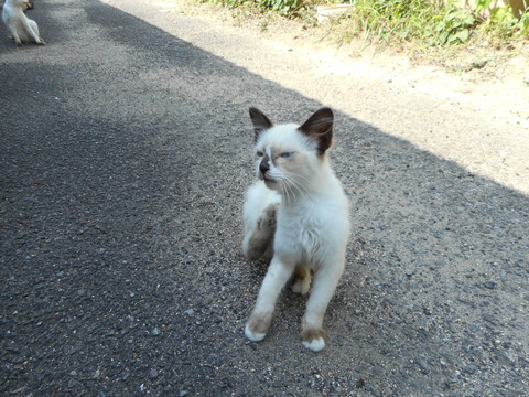 DSCN1296