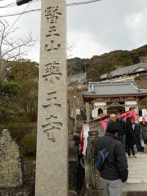 DSCN1793
