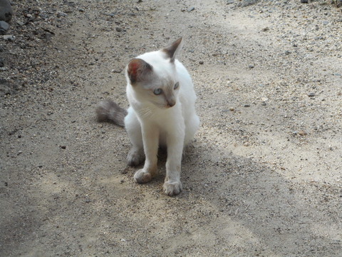 DSCN2490