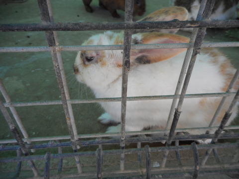 DSCN2396