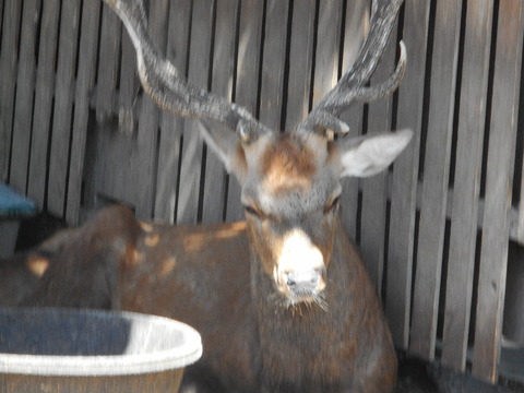 DSCN2409