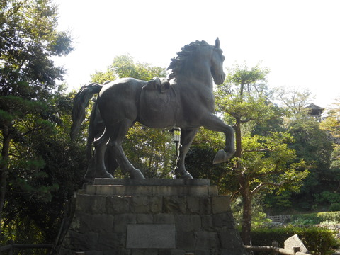 DSCN2579