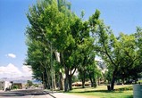 e93d385c.jpg