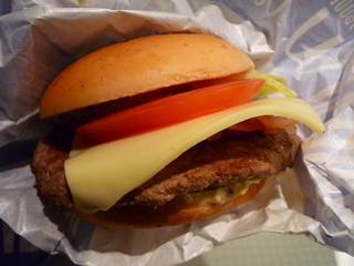 P1050254